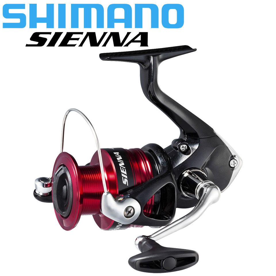 SHIMANO SIENNA Mulinello da pe - Shimano Reel Stradic recensione e prezzo